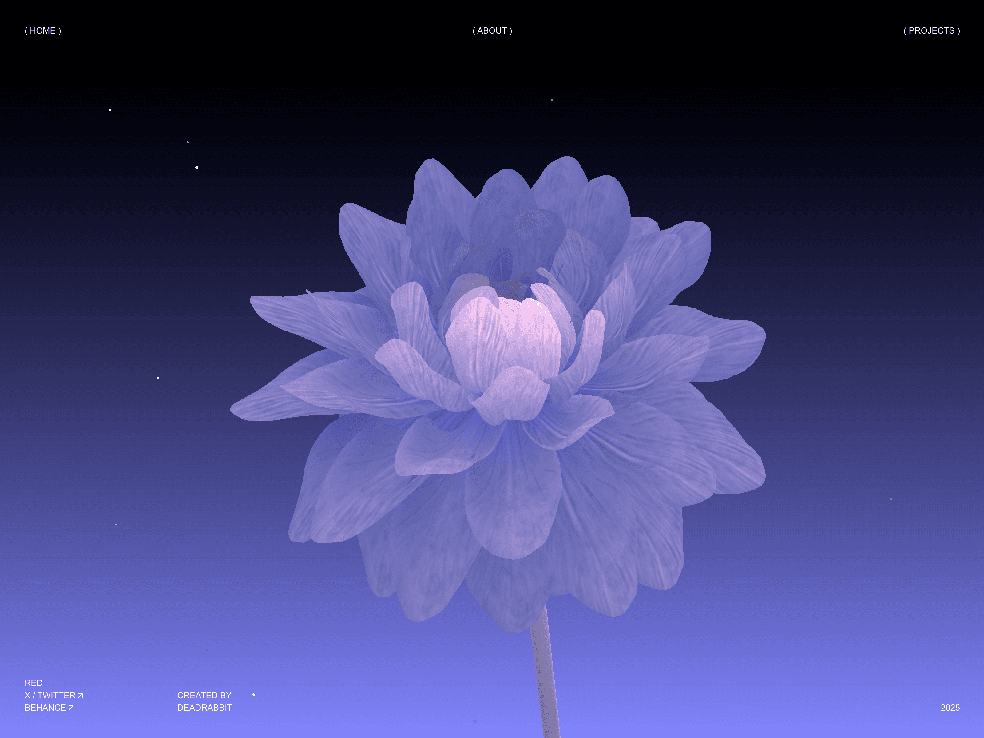 Bloom